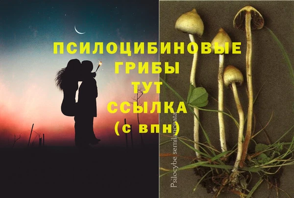 спайс Абаза