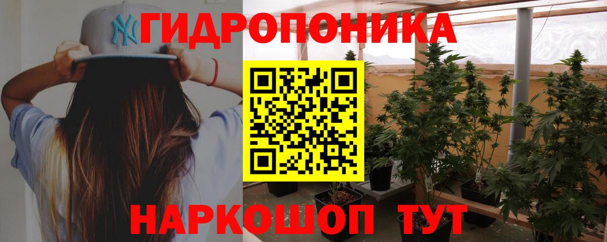 Каннабис планчик Ангарск